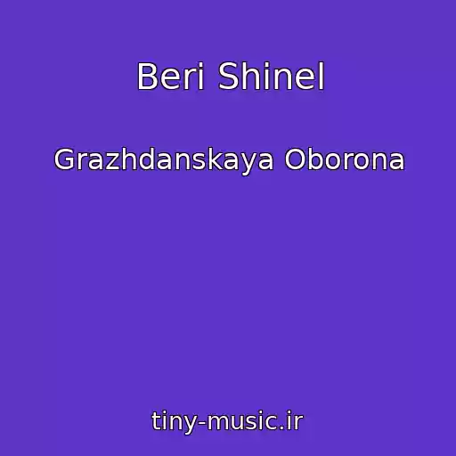 کاور آهنگ Beri Shinel از Grazhdanskaya Oborona