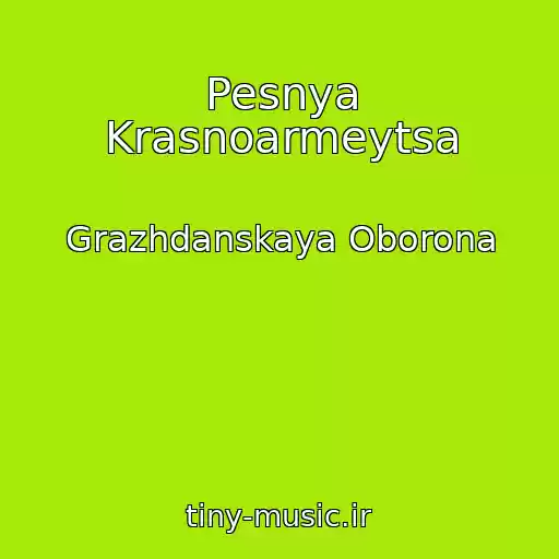 کاور آهنگ Pesnya Krasnoarmeytsa از Grazhdanskaya Oborona