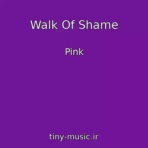 کاور آهنگ Walk Of Shame از Pink