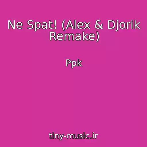 کاور آهنگ Ne Spat! (Alex & Djorik Remake) از Ppk