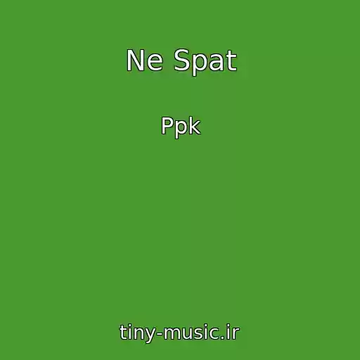 کاور آهنگ Ne Spat از Ppk