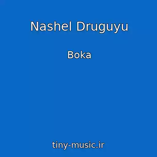 کاور آهنگ Nashel Druguyu از Boka