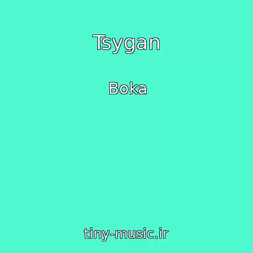 کاور آهنگ Tsygan از Boka