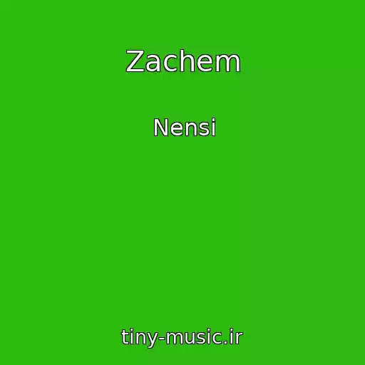 کاور آهنگ Zachem از Nensi