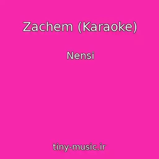 کاور آهنگ Zachem (Karaoke) از Nensi
