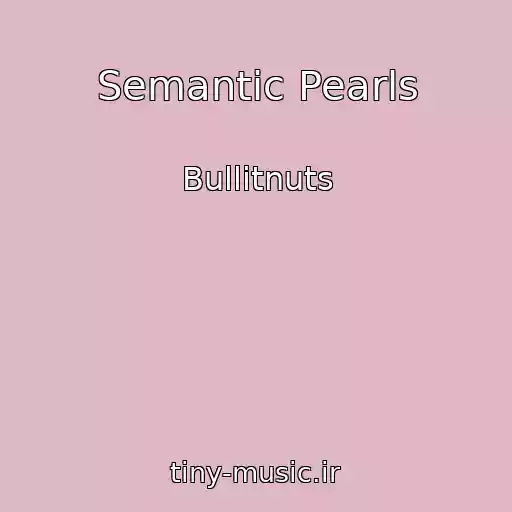 کاور آهنگ Semantic Pearls از Bullitnuts