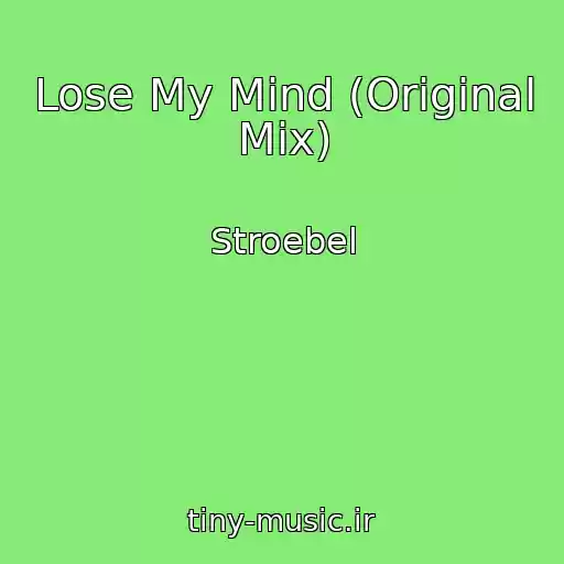 کاور آهنگ Lose My Mind (Original Mix) از Stroebel