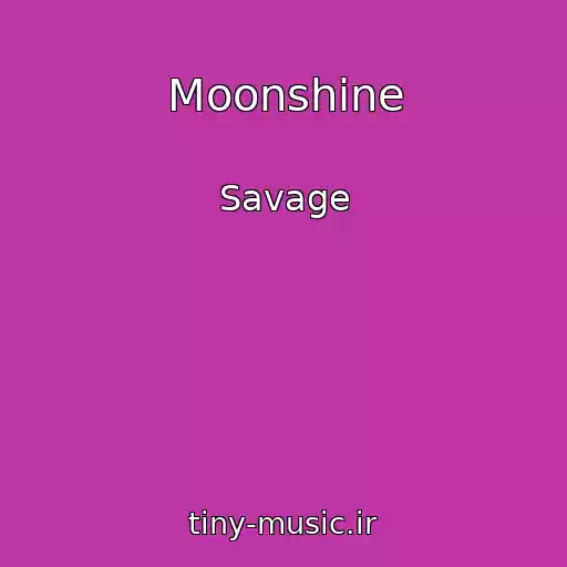 کاور آهنگ Moonshine از Savage