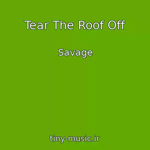 کاور آهنگ Tear The Roof Off از Savage