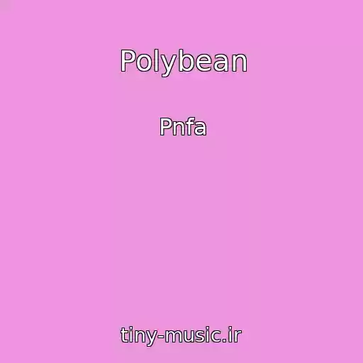 کاور آهنگ Polybean از Pnfa