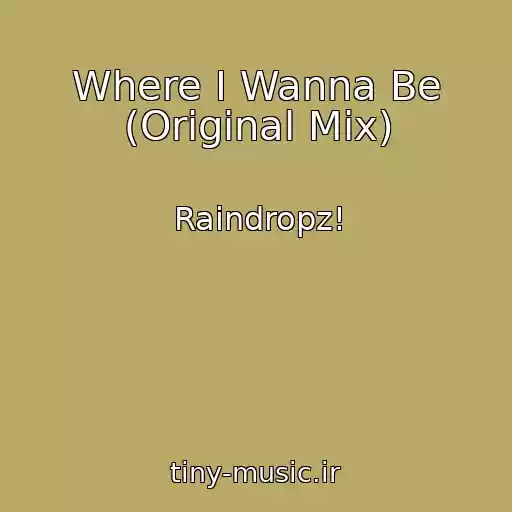 کاور آهنگ Where I Wanna Be (Original Mix) از Raindropz!