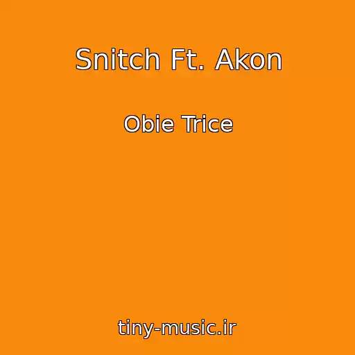 کاور آهنگ Snitch Ft. Akon از Obie Trice