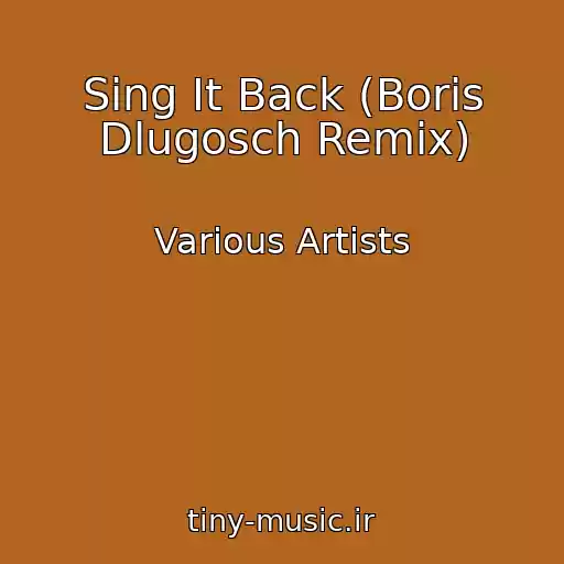 کاور آهنگ Sing It Back (Boris Dlugosch Remix) از Various Artists