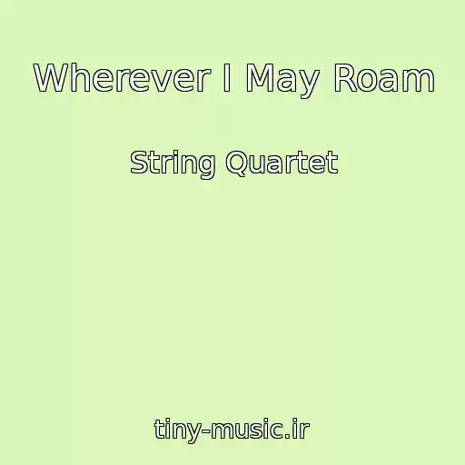 کاور آهنگ Wherever I May Roam از String Quartet