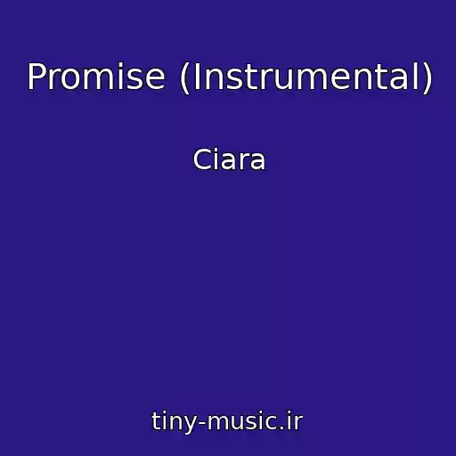 کاور آهنگ Promise (Instrumental) از Ciara