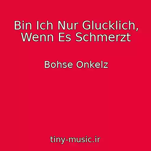 کاور آهنگ Bin Ich Nur Glucklich, Wenn Es Schmerzt از Bohse Onkelz