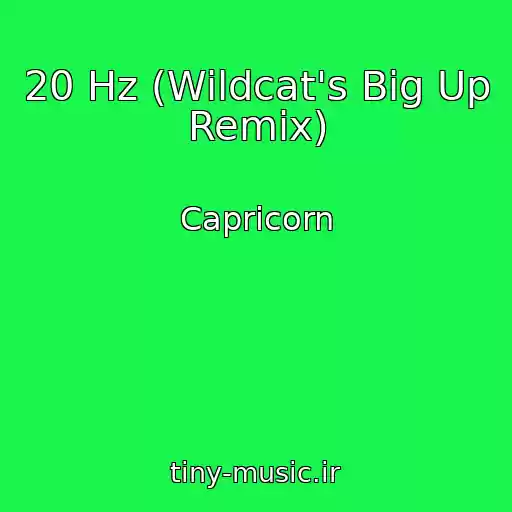 کاور آهنگ 20 Hz (Wildcat's Big Up Remix) از Capricorn