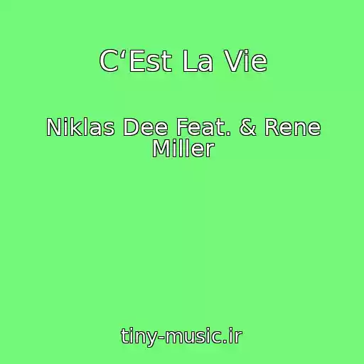 کاور آهنگ C‘Est La Vie از Niklas Dee Feat. & Rene Miller