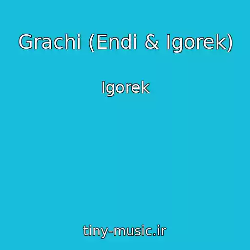 کاور آهنگ Grachi (Endi & Igorek) از Igorek
