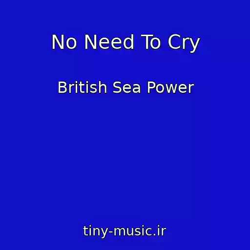 کاور آهنگ No Need To Cry از British Sea Power