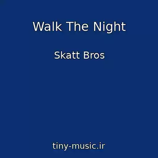 کاور آهنگ Walk The Night از Skatt Bros