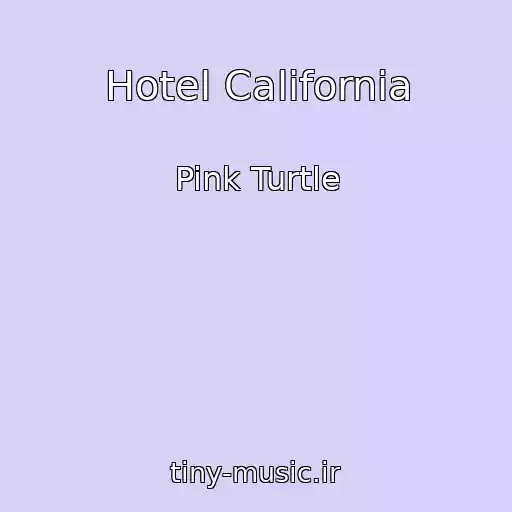کاور آهنگ Hotel California از Pink Turtle