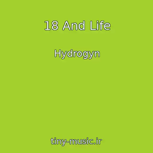 کاور آهنگ 18 And Life از Hydrogyn