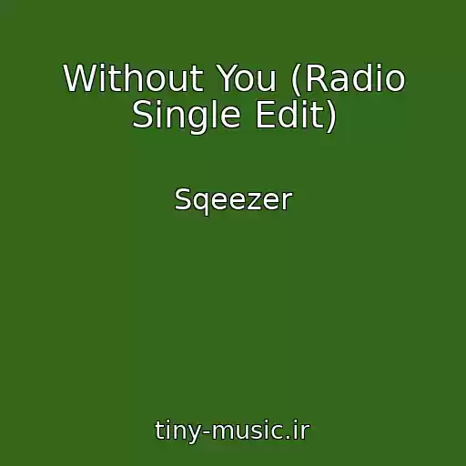 کاور آهنگ Without You (Radio Single Edit) از Sqeezer