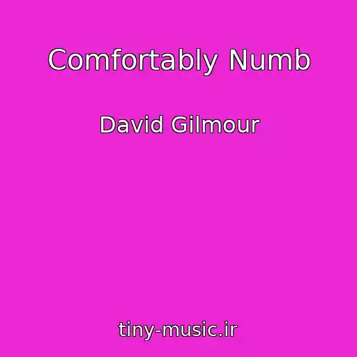 کاور آهنگ Comfortably Numb از David Gilmour
