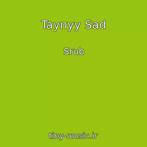 کاور آهنگ Taynyy Sad از Srub