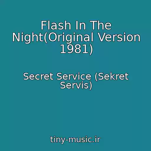 کاور آهنگ Flash In The Night(Original Version 1981) از Secret Service (Sekret Servis)