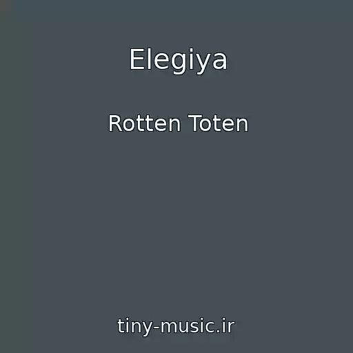 کاور آهنگ Elegiya از Rotten Toten