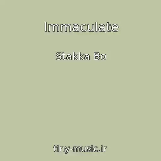 کاور آهنگ Immaculate از Stakka Bo