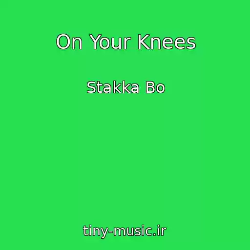 کاور آهنگ On Your Knees از Stakka Bo