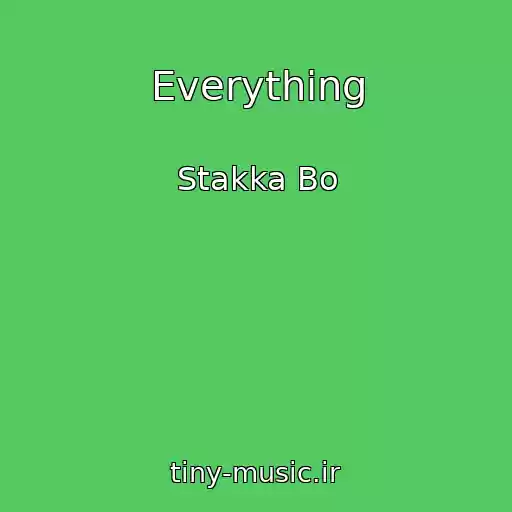 کاور آهنگ Everything از Stakka Bo