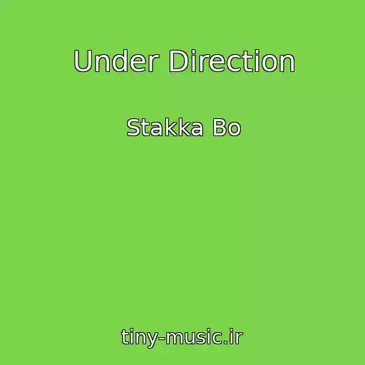 کاور آهنگ Under Direction از Stakka Bo