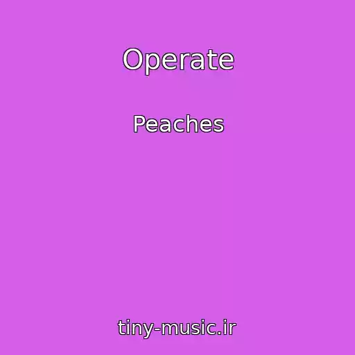 کاور آهنگ Operate از Peaches