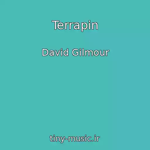 کاور آهنگ Terrapin از David Gilmour