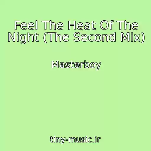 کاور آهنگ Feel The Heat Of The Night (The Second Mix) از Masterboy