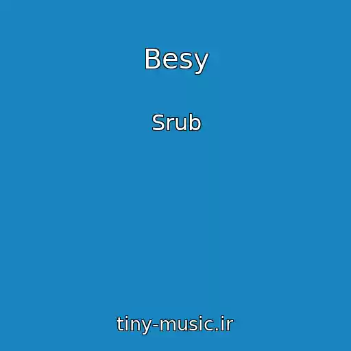 کاور آهنگ Besy از Srub