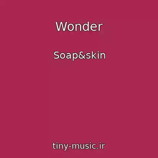 کاور آهنگ Wonder از Soap&skin