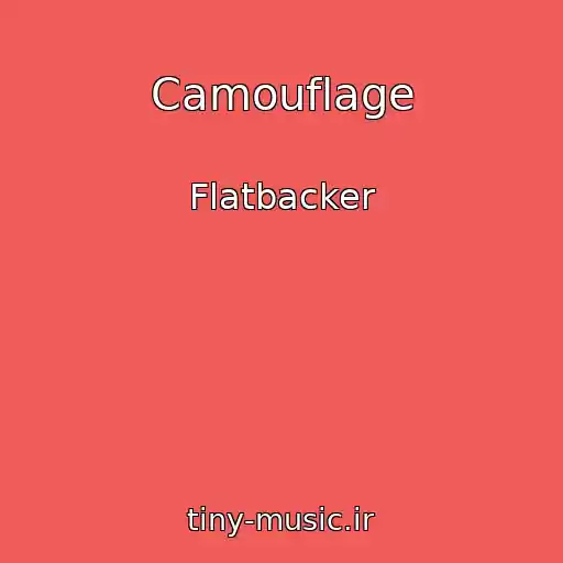 کاور آهنگ Camouflage از Flatbacker