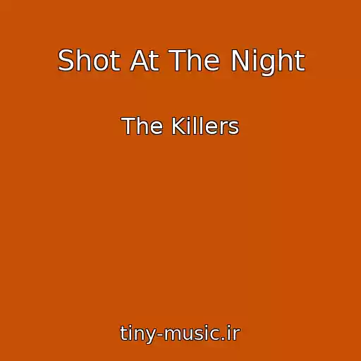 کاور آهنگ Shot At The Night از The Killers