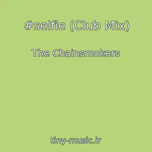 کاور آهنگ #selfie (Club Mix) از The Chainsmokers