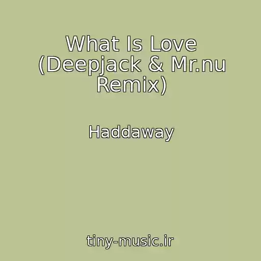 کاور آهنگ What Is Love (Deepjack & Mr.nu Remix) از Haddaway