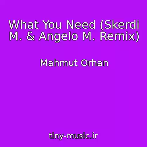 کاور آهنگ What You Need (Skerdi M. & Angelo M. Remix) از Mahmut Orhan