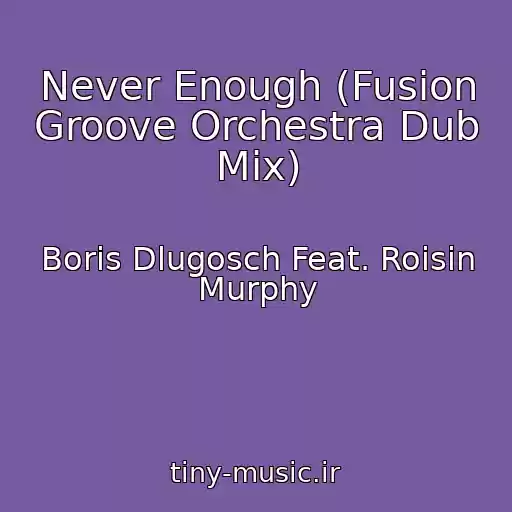 کاور آهنگ Never Enough (Fusion Groove Orchestra Dub Mix) از Boris Dlugosch Feat. Roisin Murphy
