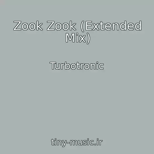 کاور آهنگ Zook Zook (Extended Mix) از Turbotronic