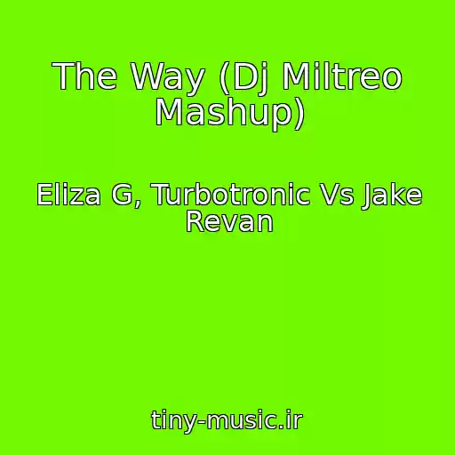 کاور آهنگ The Way (Dj Miltreo Mashup) از Eliza G, Turbotronic Vs Jake Revan