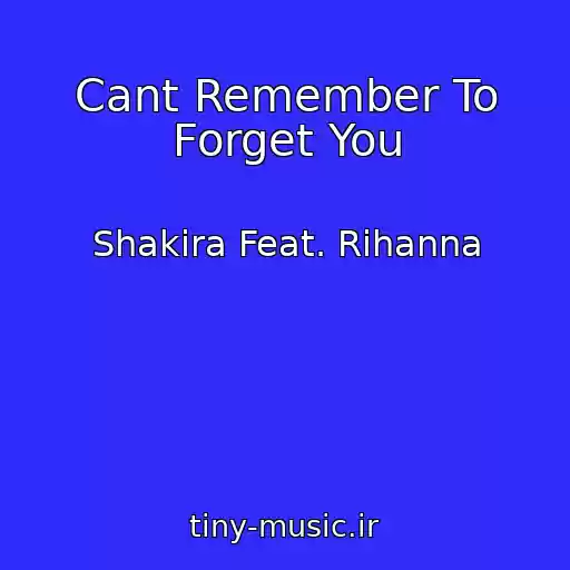 کاور آهنگ Cant Remember To Forget You از Shakira Feat. Rihanna